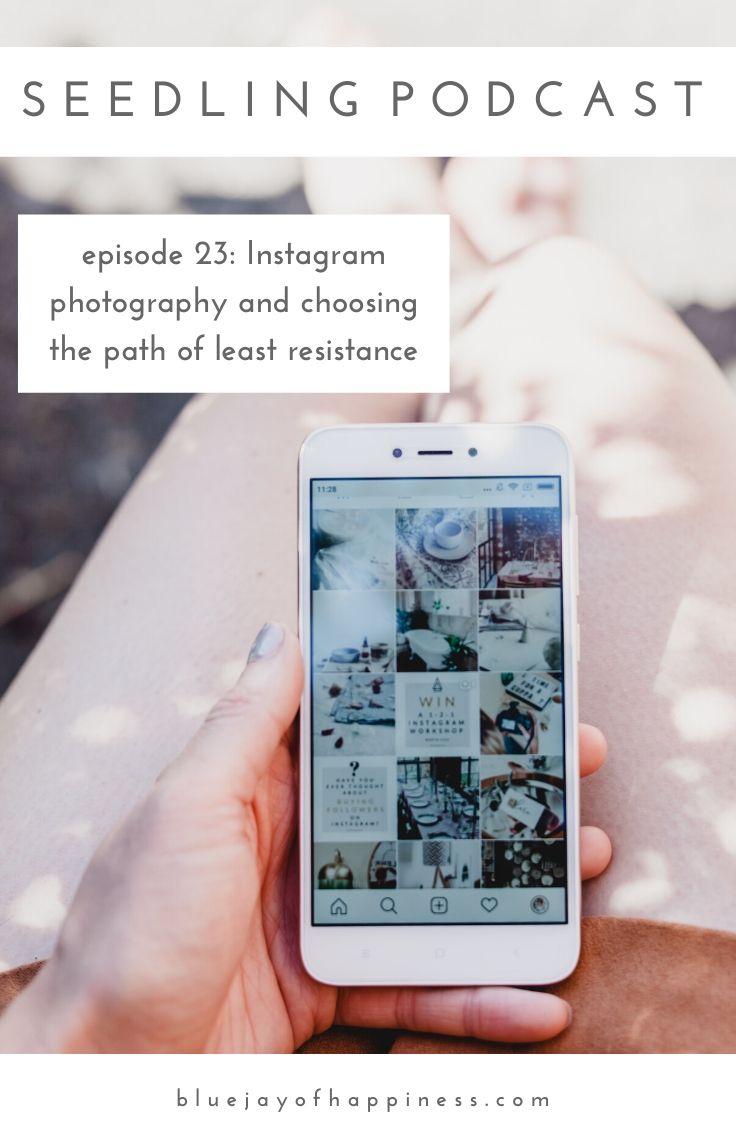 Seedling podcast - Instagram photography tips