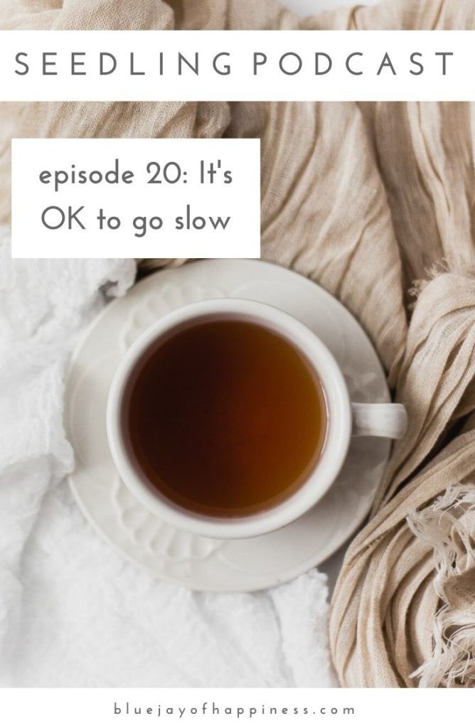 Seedling podcast - its OK to go slow