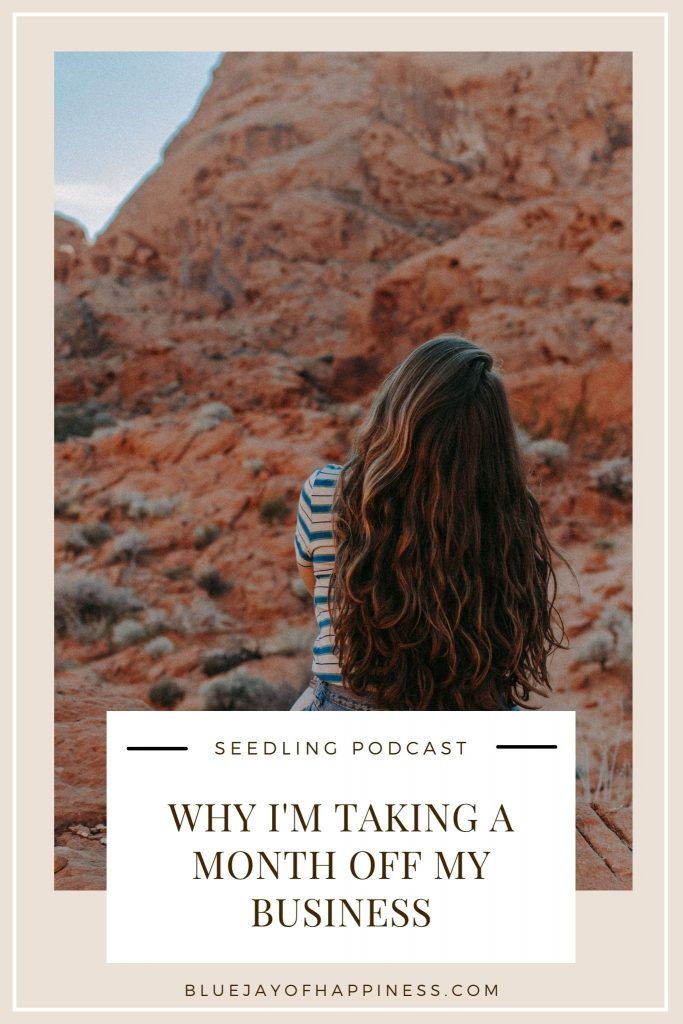 Seedling podcast episode 55 - why I'm taking a month off my business